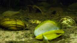 Besuch des Müritzeum in Waren Müritz