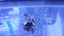 120 Watt LED Modul 1:1 blau:wei??, BridgeLux-LED