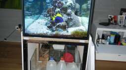 120 Watt LED Modul 1:1 blau:wei??, BridgeLux-LED