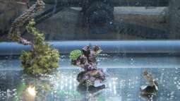 120 Watt LED Modul 1:1 blau:wei??, BridgeLux-LED