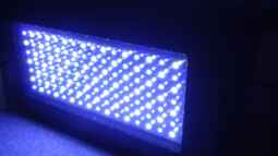 120 Watt LED Modul 1:1 blau:wei??, BridgeLux-LED