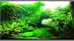 Mein Jahr bei EB,was für eine tolle Zeit !!!!!