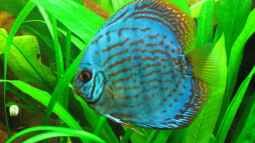 Mein Jahr bei EB,was für eine tolle Zeit !!!!!