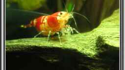 Mein Jahr bei EB,was für eine tolle Zeit !!!!!