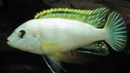 Mein Jahr bei EB,was für eine tolle Zeit !!!!!