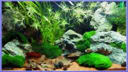 Mein Jahr bei EB,was für eine tolle Zeit !!!!!