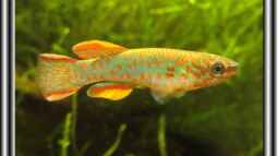 Mein Jahr bei EB,was für eine tolle Zeit !!!!!