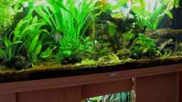 Mein Jahr bei EB,was für eine tolle Zeit !!!!!