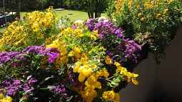 " Wir Moderatoren stellen uns vor "