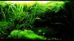 " Wir Moderatoren stellen uns vor "