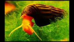 4 Jahre Aquaristik,und wie geht es weiter ?