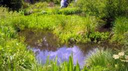 Botanischer Garten München -Aus Sicht einer Aquarianerin! Teil I