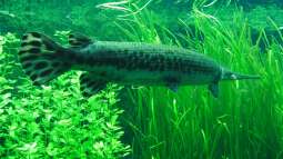 Gestern im Basler Zoo.....