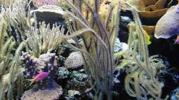 Gestern im Basler Zoo.....