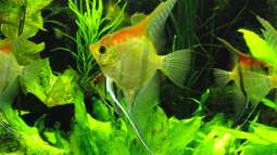 Gestern im Basler Zoo.....