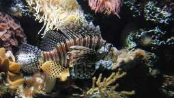 Gestern im Basler Zoo.....