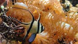 Gestern im Basler Zoo.....