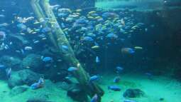 Gestern im Basler Zoo.....