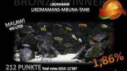 Jahresranking mal etwas anders......