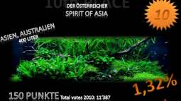 Jahresranking mal etwas anders......