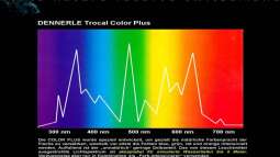 Lichtverhältnisse im Wasser / Malawisee