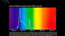 Lichtverhältnisse im Wasser / Malawisee