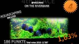 Jahresranking mal etwas anders......