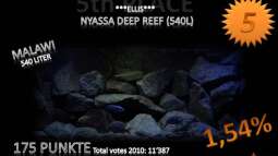 Jahresranking mal etwas anders......