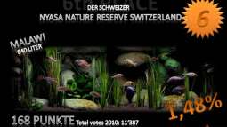 Jahresranking mal etwas anders......