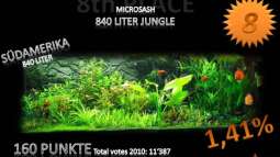 Jahresranking mal etwas anders......