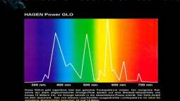 Lichtverhältnisse im Wasser / Malawisee