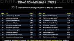 TOP-MALAWIS auf Einrichtungsbeispiele.de