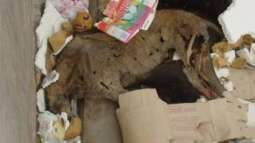 Grausamkeit hat einen Namen