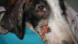 Grausamkeit hat einen Namen