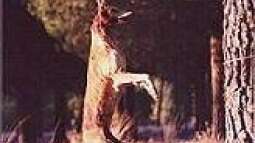 Grausamkeit hat einen Namen