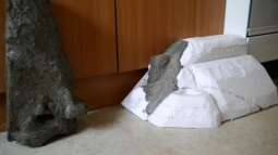 Home of Pelvicachromis - Westafrika entsteht