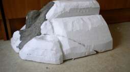 Home of Pelvicachromis - Westafrika entsteht