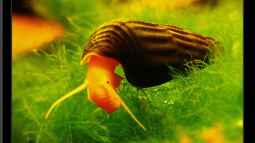 Wer,Wie,Was,Fragen und auch Antworten,kommt in die Gruppe !!!