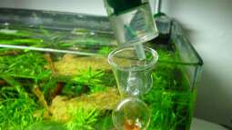 CO2 - Indicator - volle Kontrolle