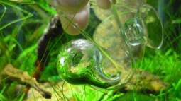 CO2 - Indicator - volle Kontrolle