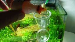 CO2 - Indicator - volle Kontrolle