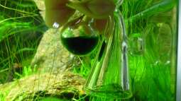 CO2 - Indicator - volle Kontrolle