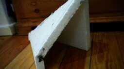 Home of Pelvicachromis - Westafrika entsteht