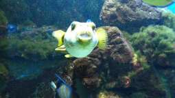 Kölner Zoo / Aquarium