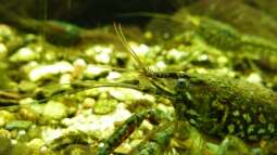 Kölner Zoo / Aquarium