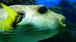 Kölner Zoo / Aquarium