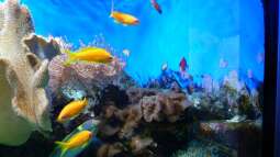 Kölner Zoo / Aquarium