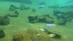 Kölner Zoo / Aquarium