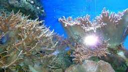 Kölner Zoo / Aquarium