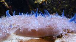 Kölner Zoo / Aquarium